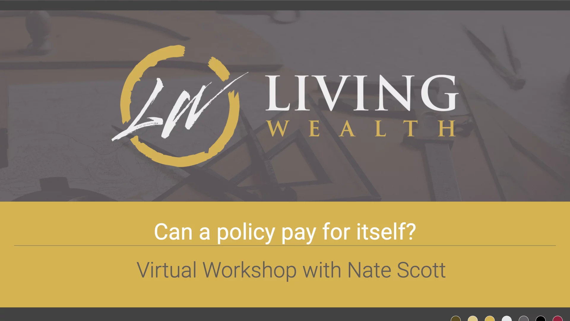 Virtual Workshop: Can a policy pay for itself?