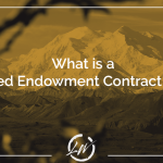 What is a Modified Endowment Contract?