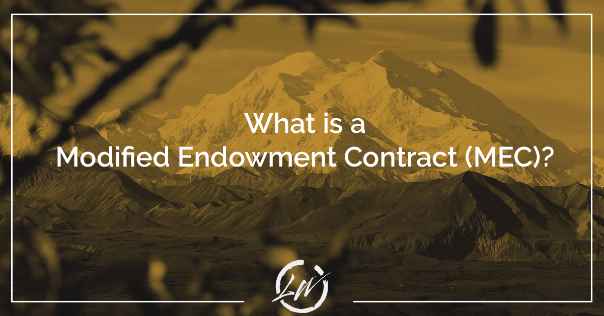 Modified Endowment Contract