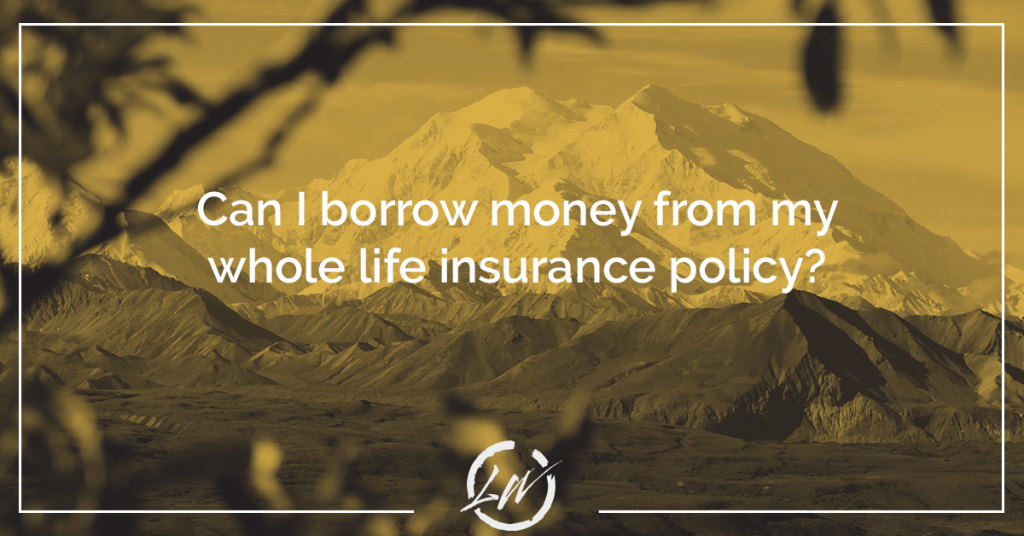 Can I borrow money from my whole life insurance policy?