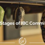 The 4 Stages of IBC Commitment Webinar